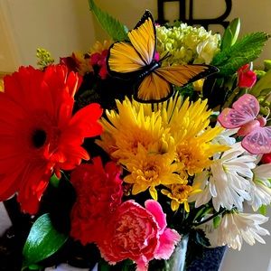 Meet your Posher, Jen